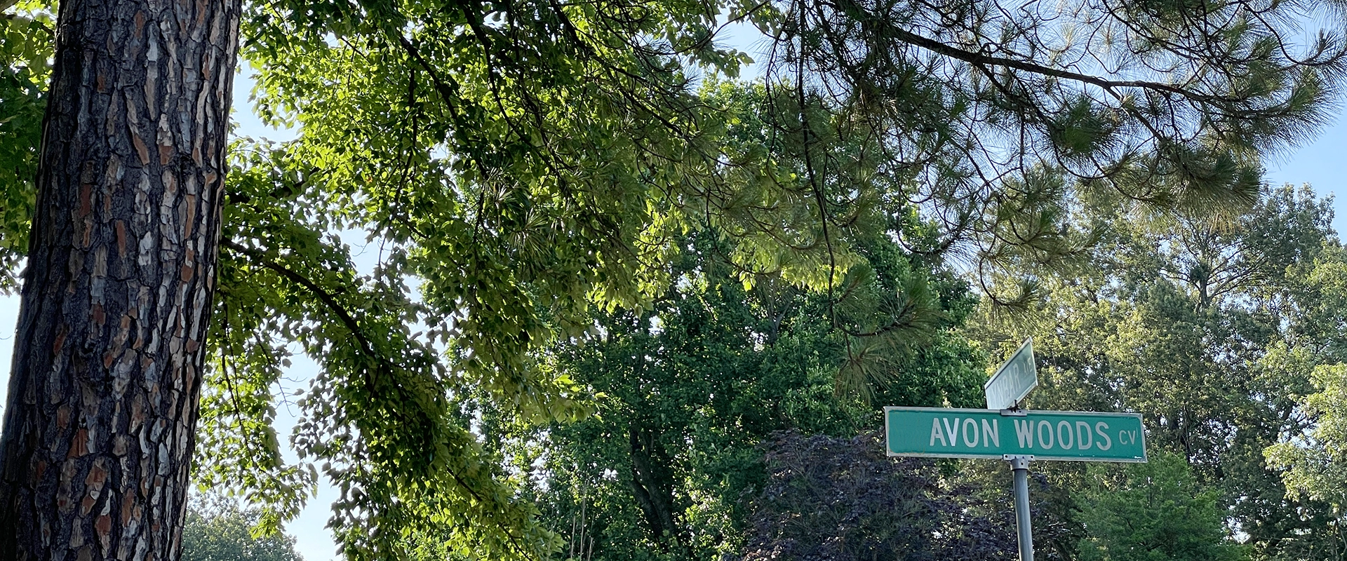 Trees and street sign at the corner of Avon Woods Cove and Lynbar Ave